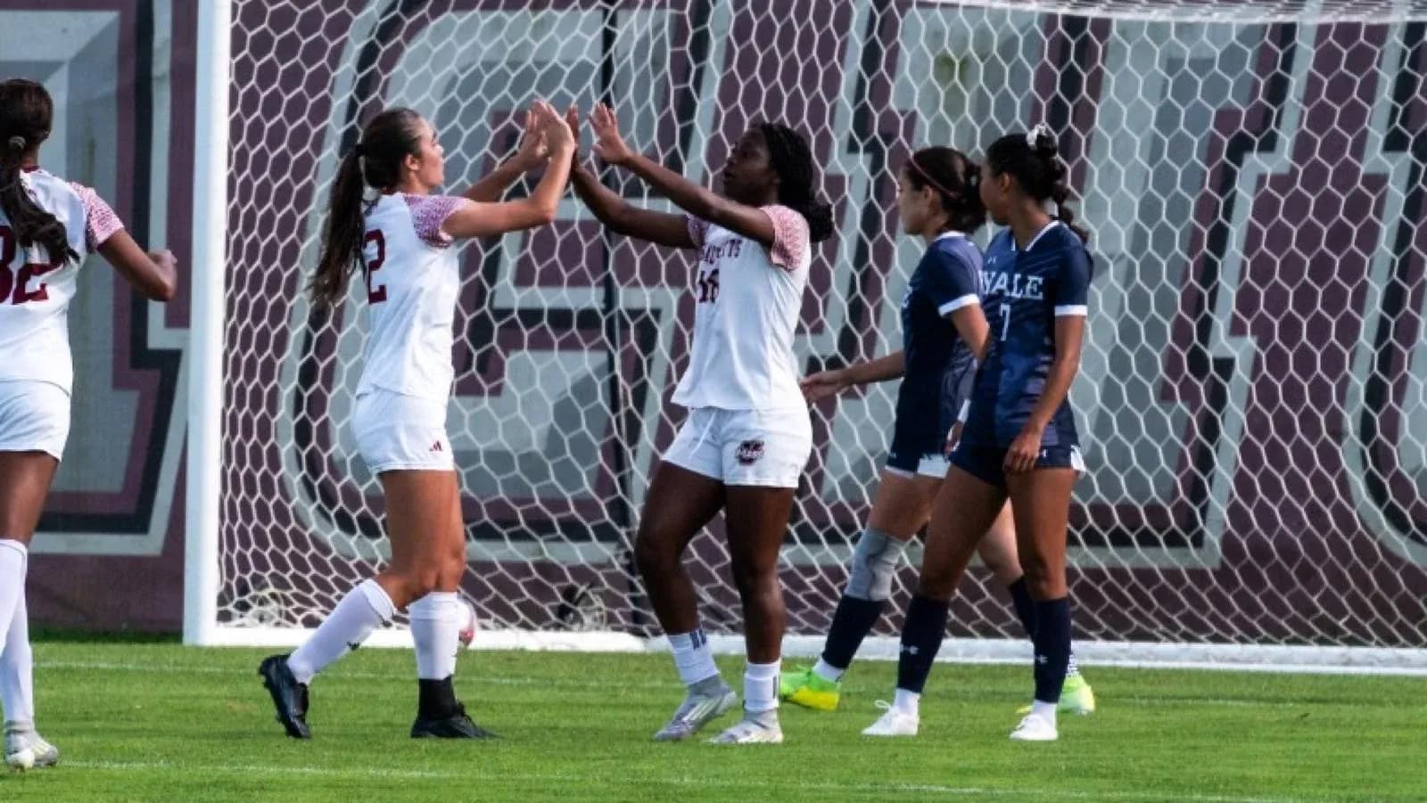 Players celebrating a goal during soccer match