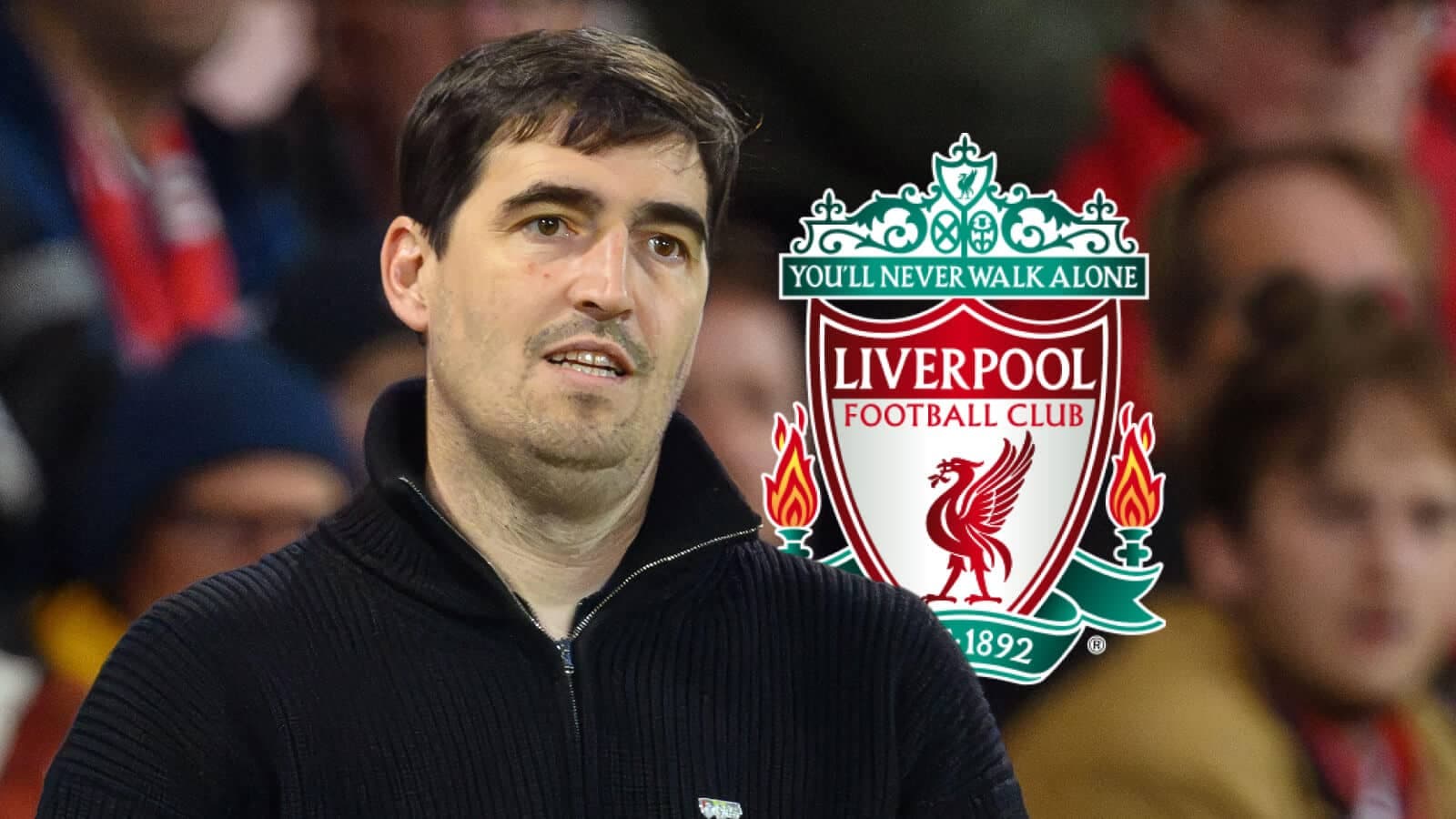 Man observing match with Liverpool FC logo in background