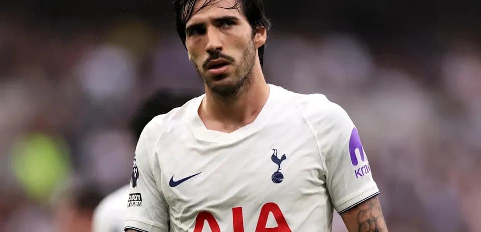 Player in Tottenham Hotspur jersey during match