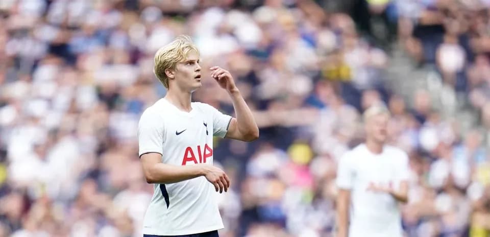 Tottenham player during match, crowd in background