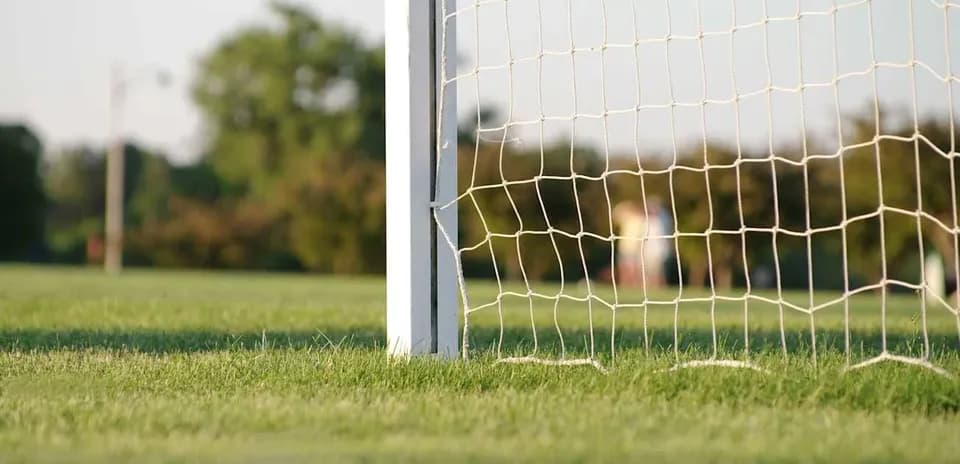 Close-up of a soccer goal net and grass