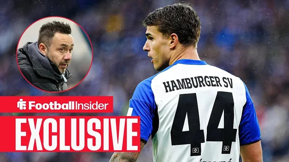 Player wearing Hamburger SV jersey with number 44