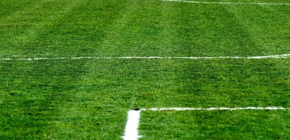 Close-up of freshly marked soccer field grass