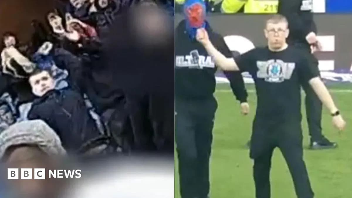 Fans celebrating and a person on the pitch