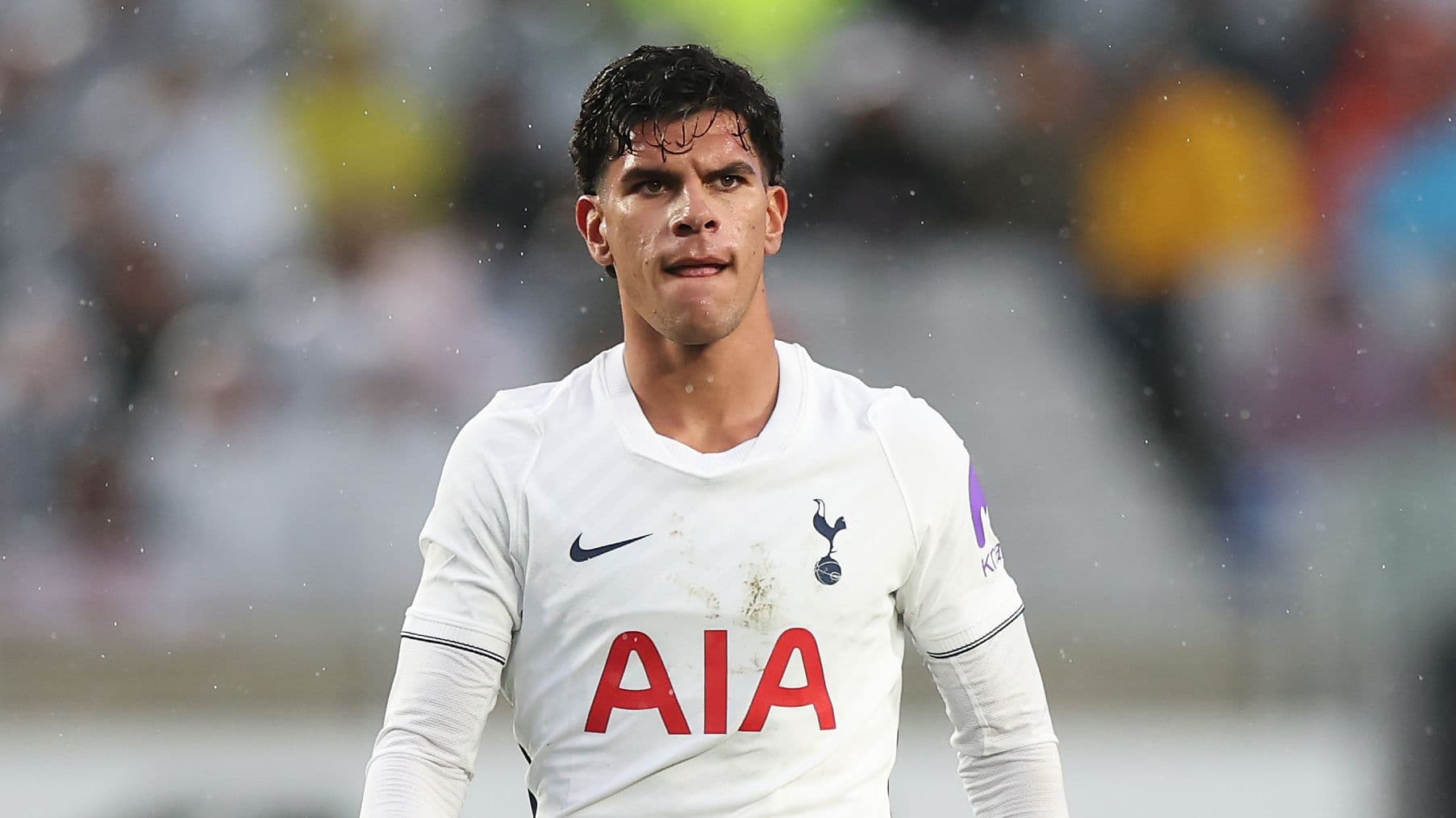 Why £85m Mateus Fernandes Missed Tottenham's Match Against Sydney FC Amid Injury Speculations