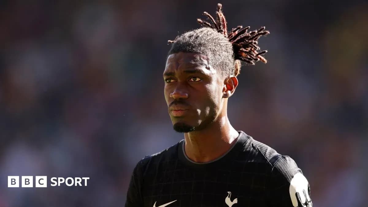 Player in Tottenham kit during match Player in Tottenham kit during match