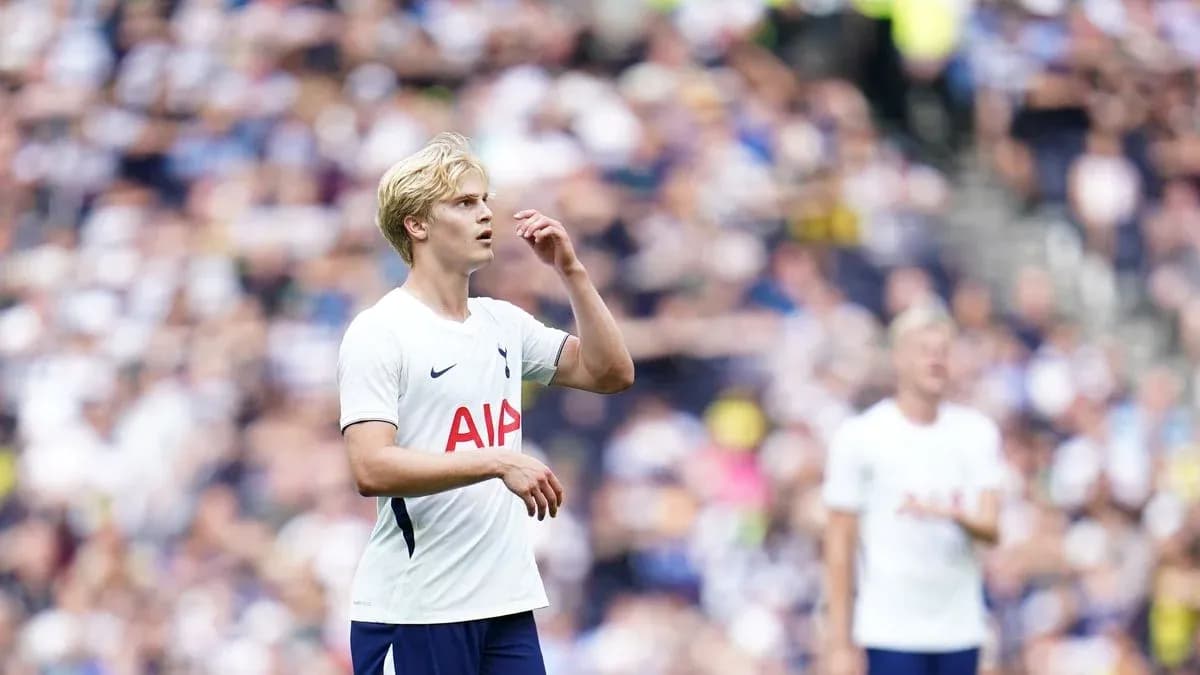 Tottenham player during match, crowd in background Tottenham player during match, crowd in background