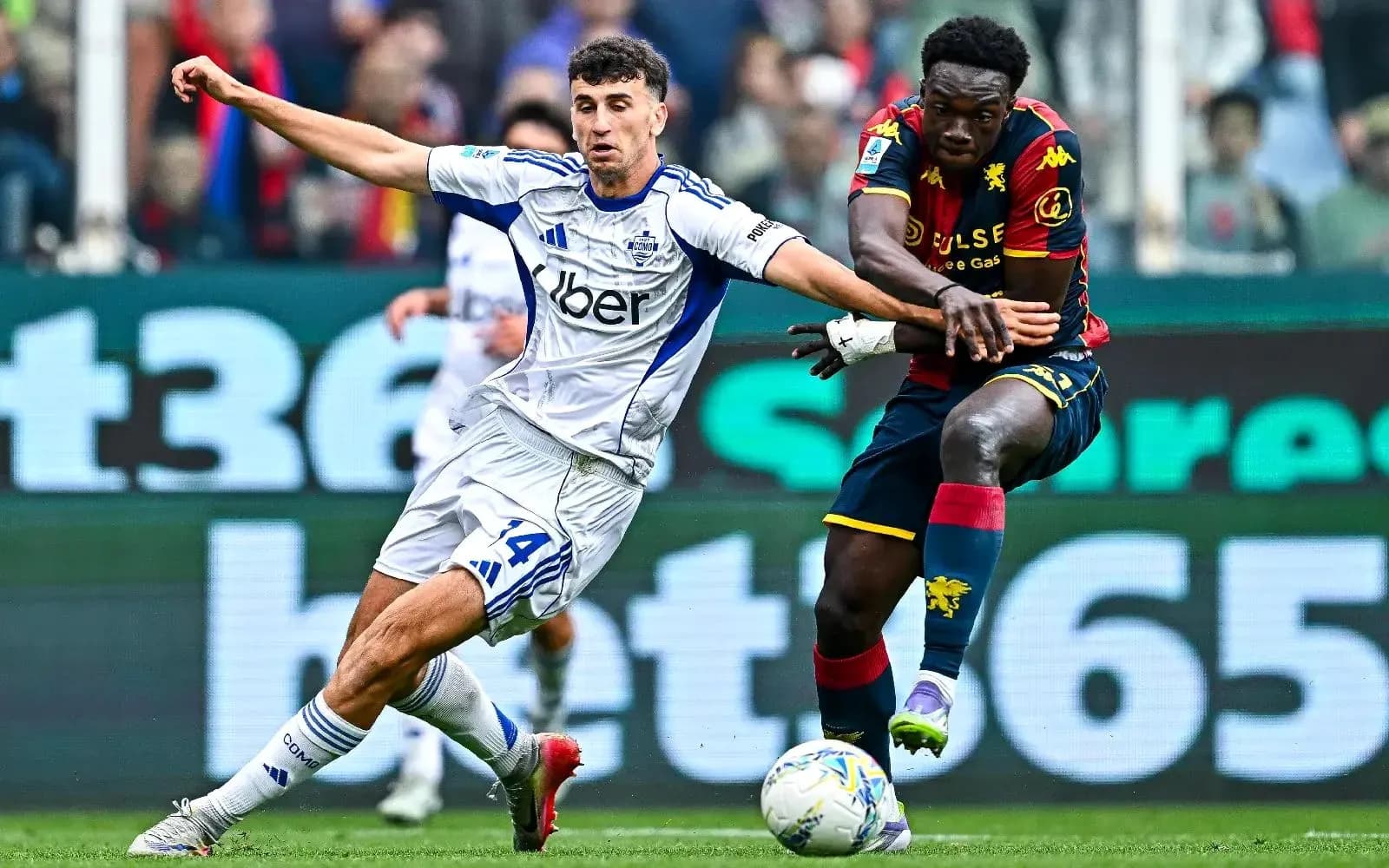 Genoa player challenges Como opponent during match Genoa player challenges Como opponent during match