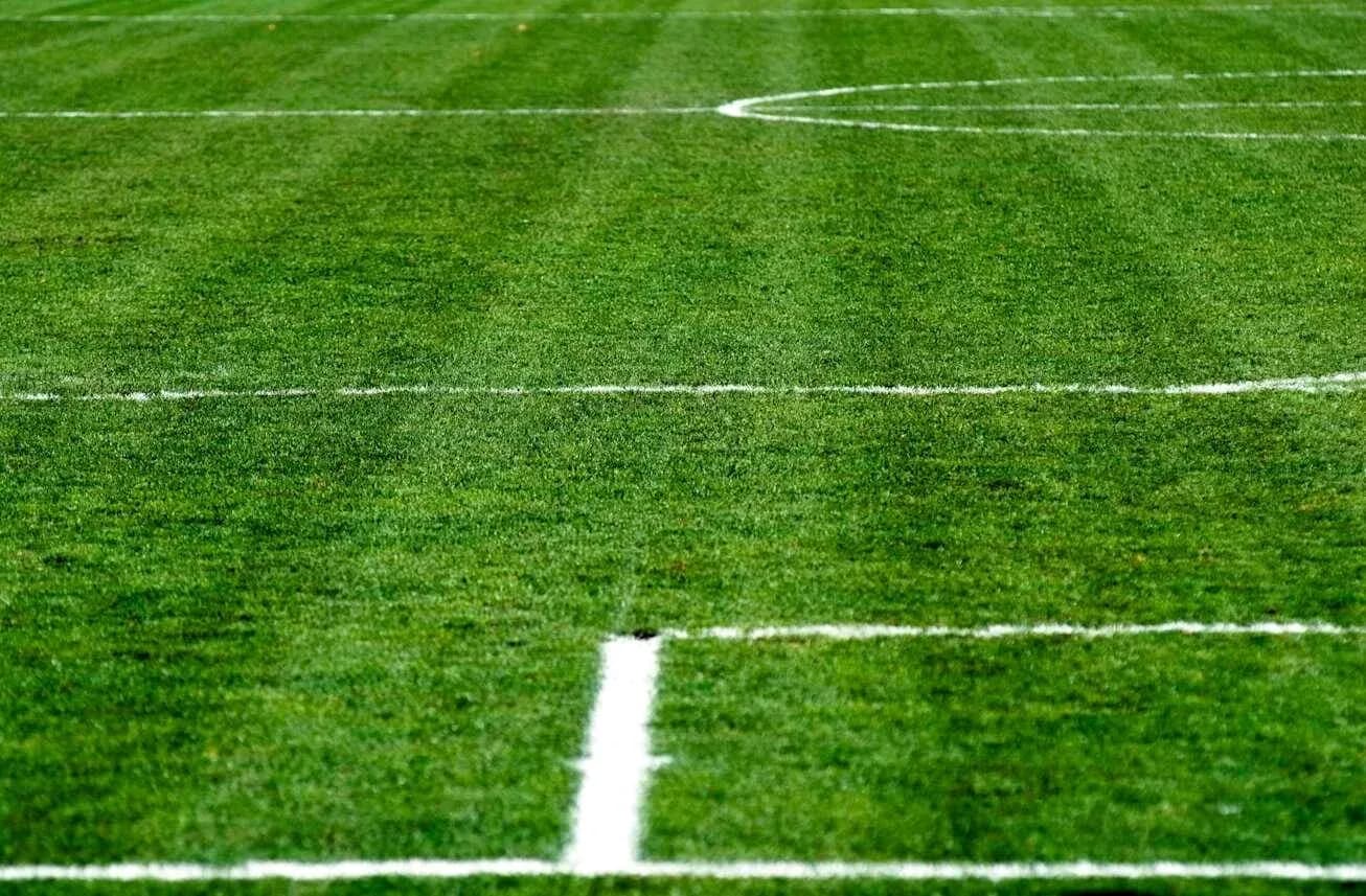 Close-up of freshly marked soccer field grass Close-up of freshly marked soccer field grass