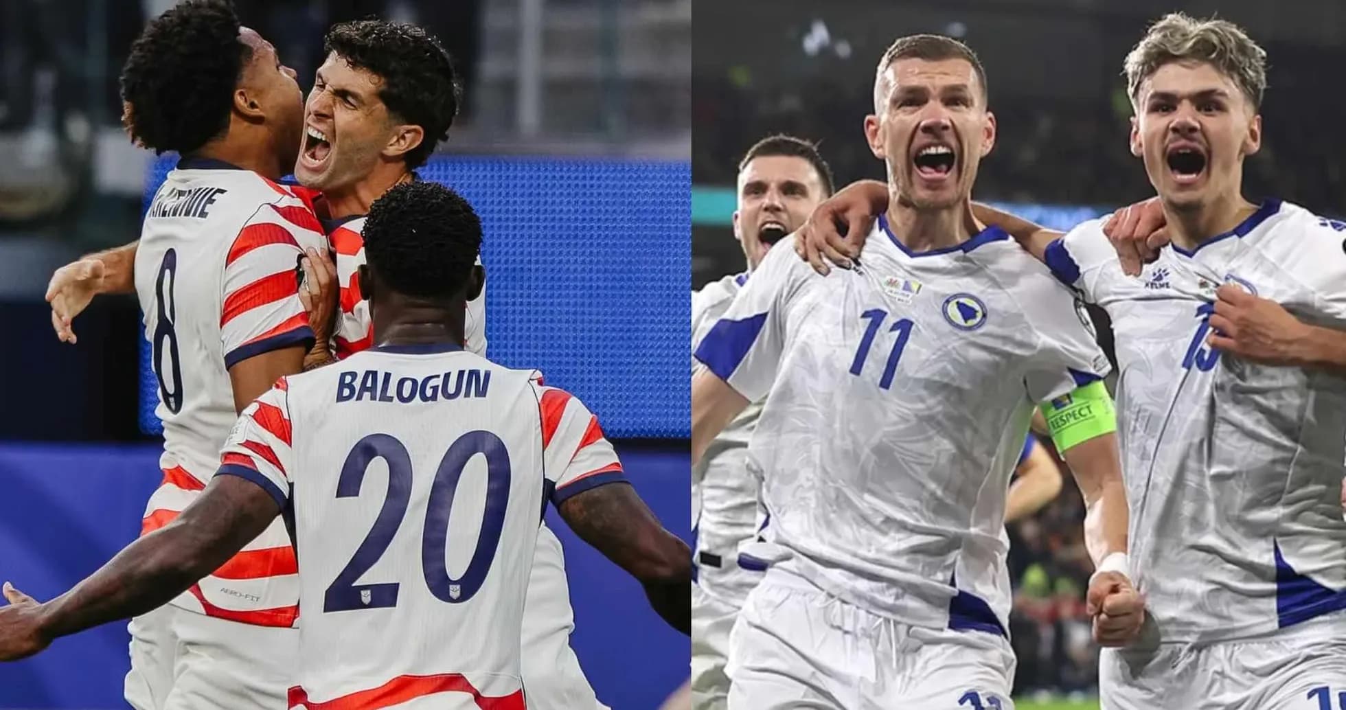 Players celebrating during USA vs Bosnia match Players celebrating during USA vs Bosnia match