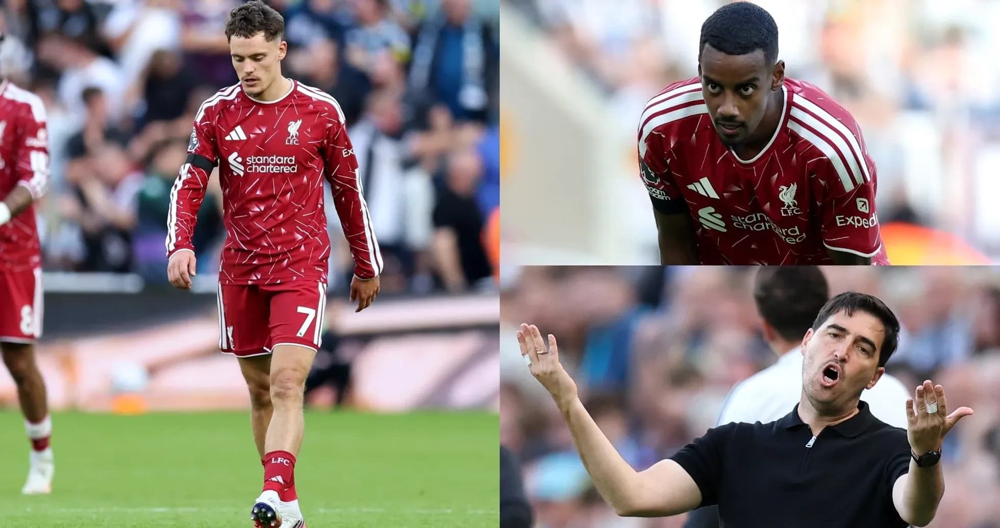 Liverpool players and coach during match moments Liverpool players and coach during match moments