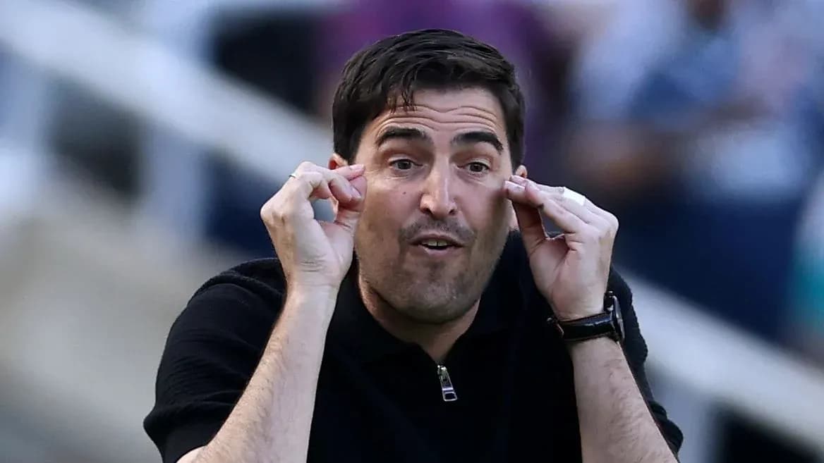 Coach gesturing during a match from the sidelines Coach gesturing during a match from the sidelines