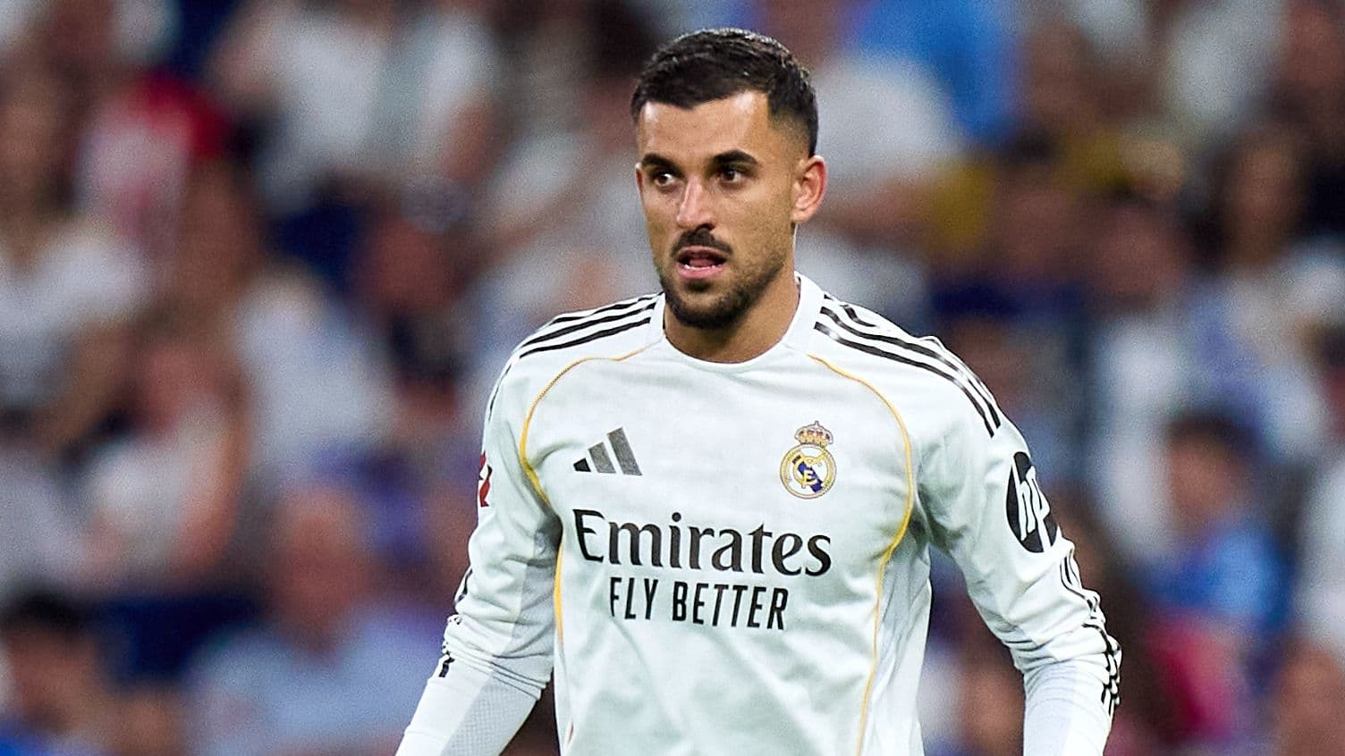 Napoli Advances Contract Offer for Dani Ceballos Ahead of Juventus Napoli Advances Contract Offer for Dani Ceballos Ahead of Juventus