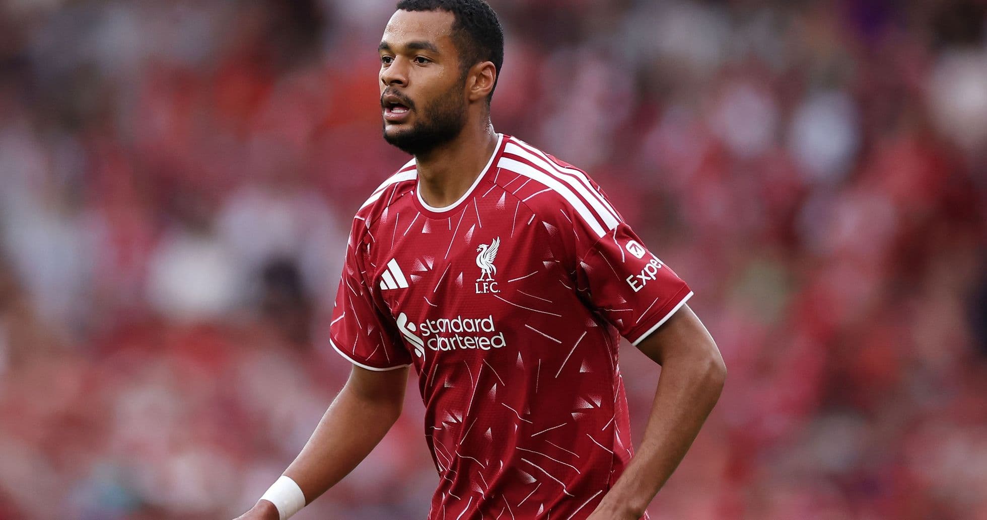Iraola Hints at Gakpo Exit as Liverpool Nears £120m Deal for Barcola Iraola Hints at Gakpo Exit as Liverpool Nears £120m Deal for Barcola